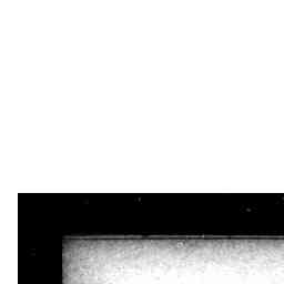 Image Tile
