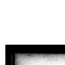 Image Tile