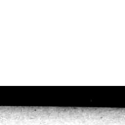 Image Tile