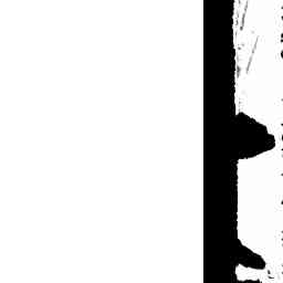 Image Tile