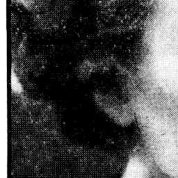 Image Tile