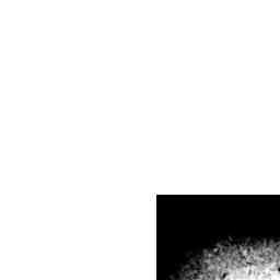 Image Tile