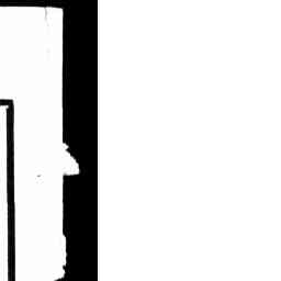 Image Tile