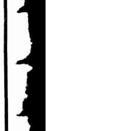 Image Tile