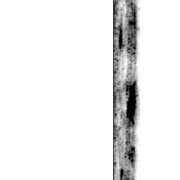 Image Tile