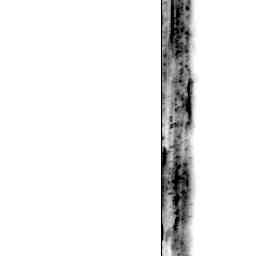Image Tile