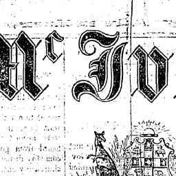 Image Tile