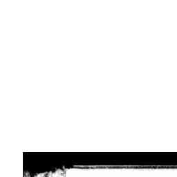 16 May 1936 - Advertising - Trove