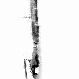 Image Tile