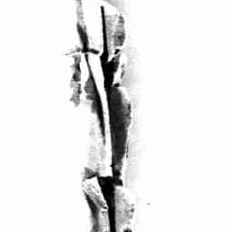 Image Tile
