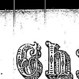 Image Tile