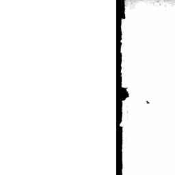 Image Tile