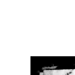 Image Tile