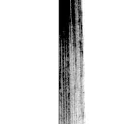 Image Tile