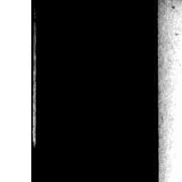 Image Tile