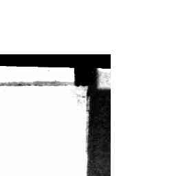 Image Tile