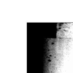 Image Tile