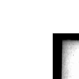 Image Tile