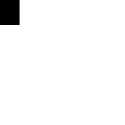 Image Tile