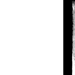 Image Tile