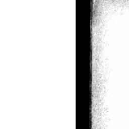 Image Tile