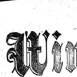 Image Tile