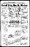 Page overview thumbnail