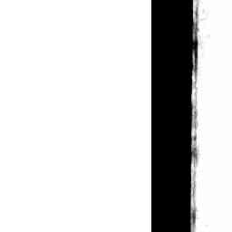 Image Tile