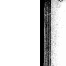 Image Tile