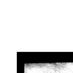 Image Tile