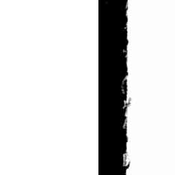 Image Tile
