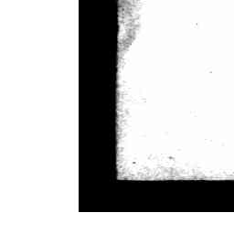 Image Tile