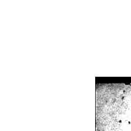 Image Tile