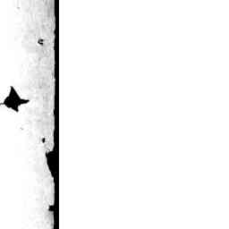 Image Tile