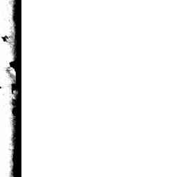 Image Tile