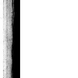 Image Tile