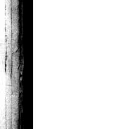Image Tile