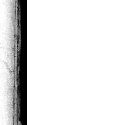 Image Tile