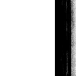 Image Tile