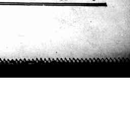 Image Tile