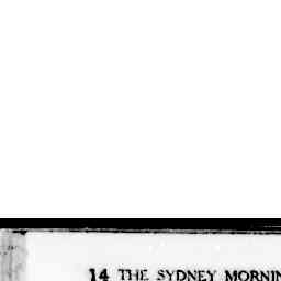 Image Tile