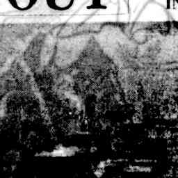 Image Tile