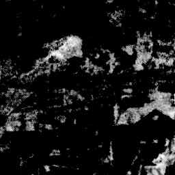 Image Tile