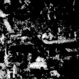 Image Tile