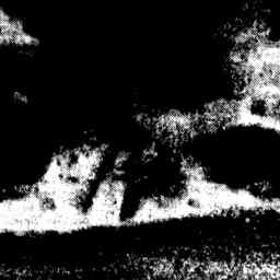 Image Tile