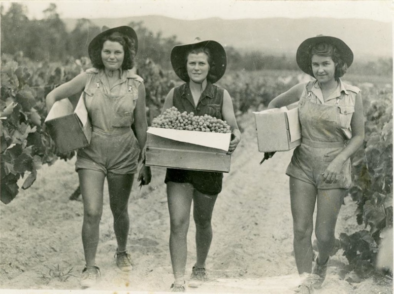Three women walking up a gravel path between rows of plants. They are holding boxes of produce, wearing broad-brimmed hats and smiling at the camera