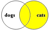 image showing a boolean search for cats