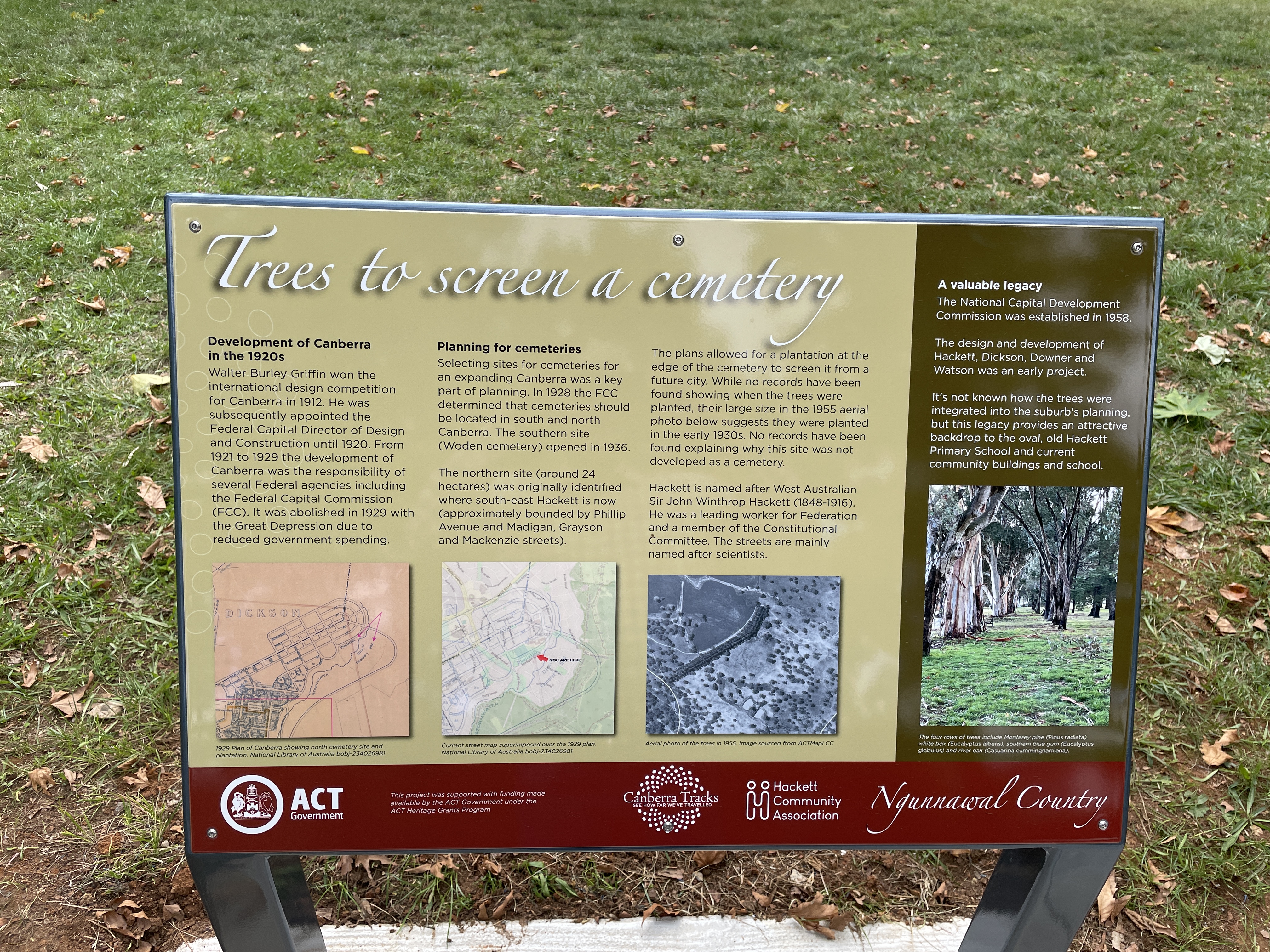 metal sign in a park showing historical images and maps, and telling the story of the trees' history