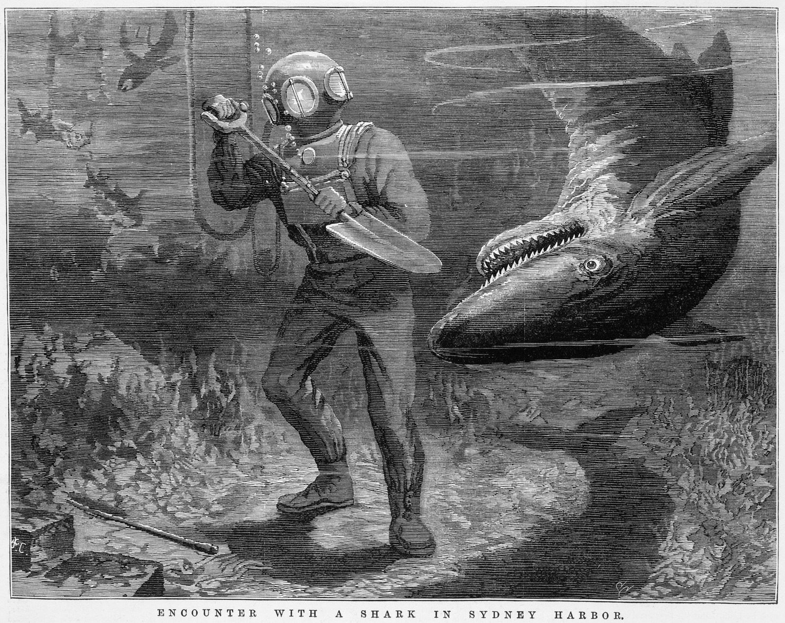 Black and white lithograph underwater view of man in diving suit fighting off a shark