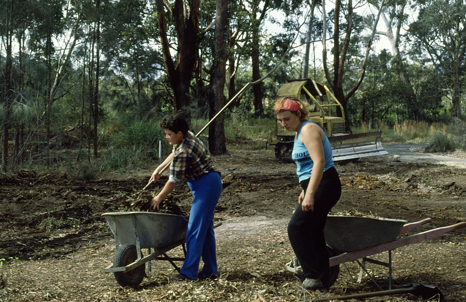 Two people with gardening equipment spreading mulch in rainforest section at the North Coast Regional Botanic Garden